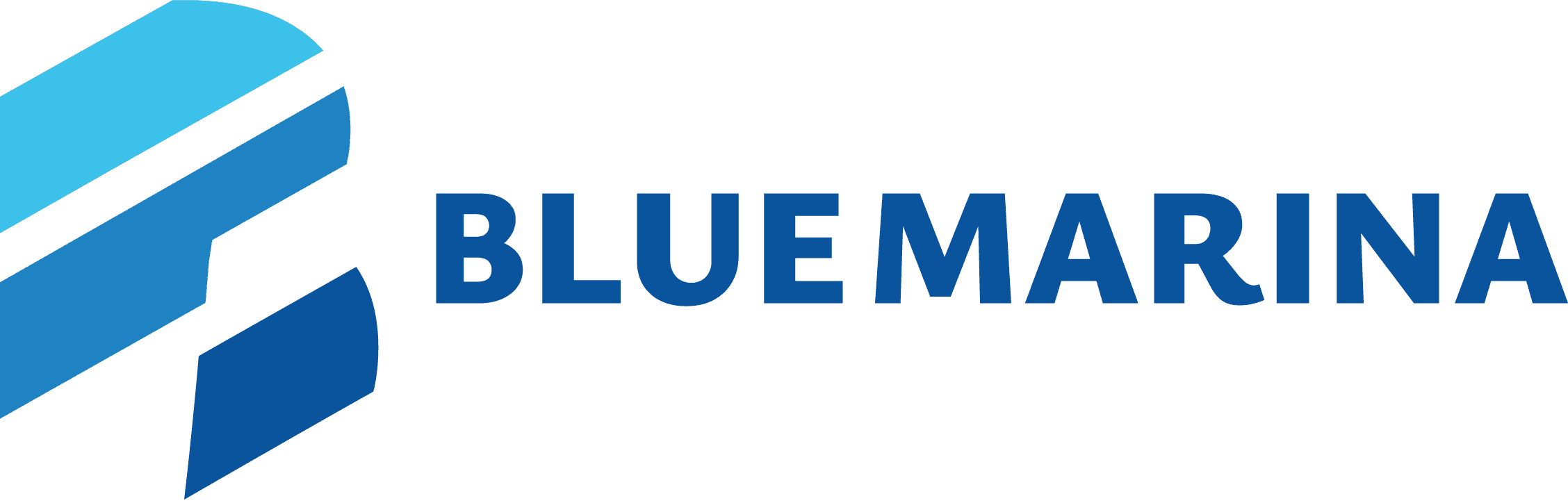 Blue Marina logo